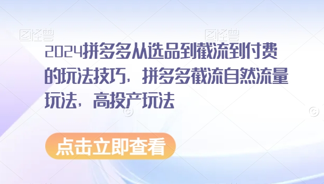 2024拼多多从选品到截流到付费的玩法技巧，拼多多截流自然流量玩法，高投产玩法-私藏资源社