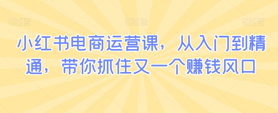 小红书电商运营课，从入门到精通，带你抓住又一个赚钱风口-私藏资源社