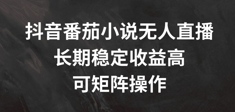 抖音番茄小说无人直播，长期稳定收益高，可矩阵操作【揭秘】-私藏资源社