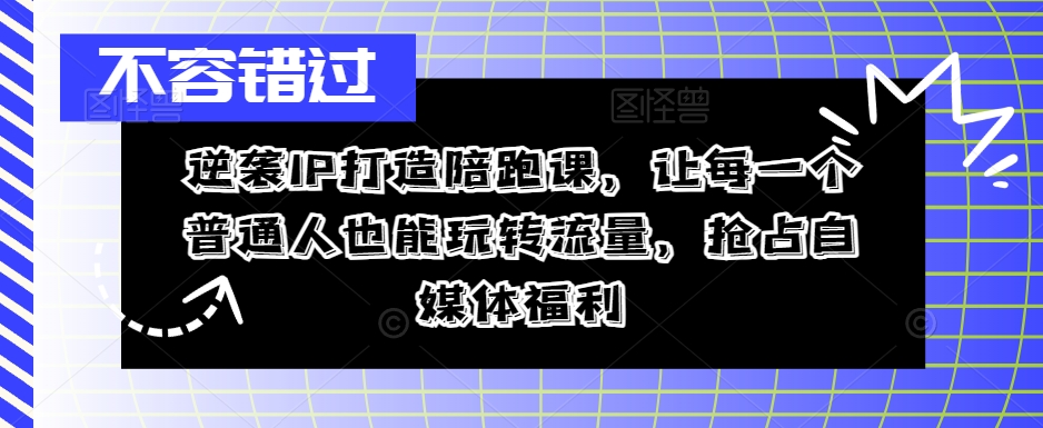 逆袭IP打造陪跑课，让每一个普通人也能玩转流量，抢占自媒体福利-私藏资源社