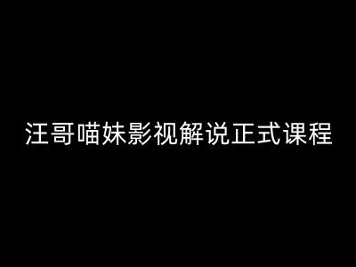 汪哥影视解说正式课程：剪映/PR教学/视解说剪辑5大黄金法则/全流程剪辑7把利器等等-私藏资源社