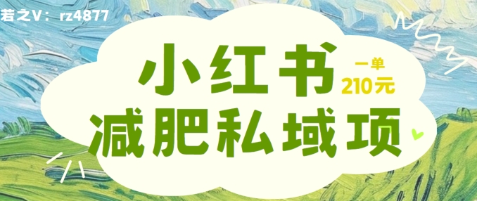 小红书减肥粉，私域变现项目，一单就达210元，小白也能轻松上手【揭秘】-私藏资源社