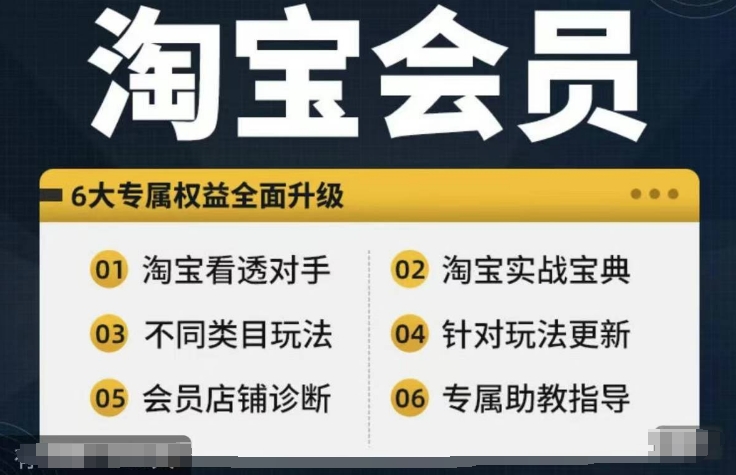 淘宝会员【淘宝所有课程，全面分析对手】，初级到高手全系实战宝典-私藏资源社