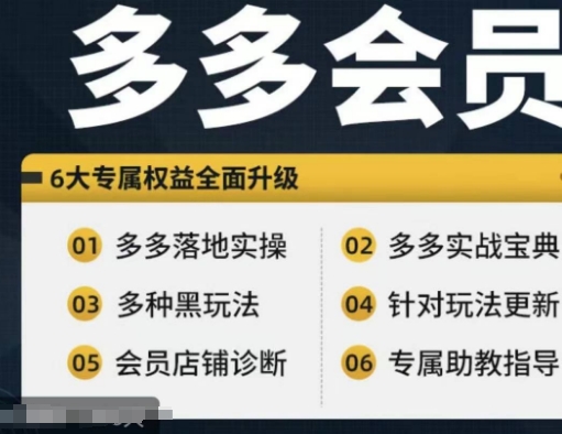 拼多多会员，拼多多实战宝典+实战落地实操，从新手到高阶内容全面覆盖-私藏资源社