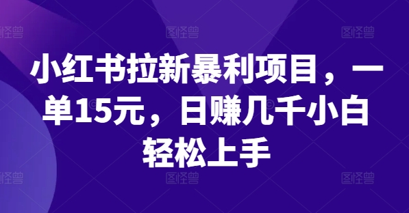 小红书拉新暴利项目，一单15元，日赚几千小白轻松上手【揭秘】-私藏资源社