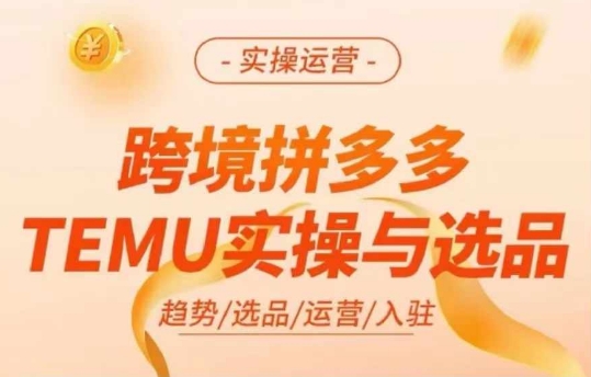 跨境拼多多TEMU实操与选品，多多temu跨境选品运营实操-私藏资源社