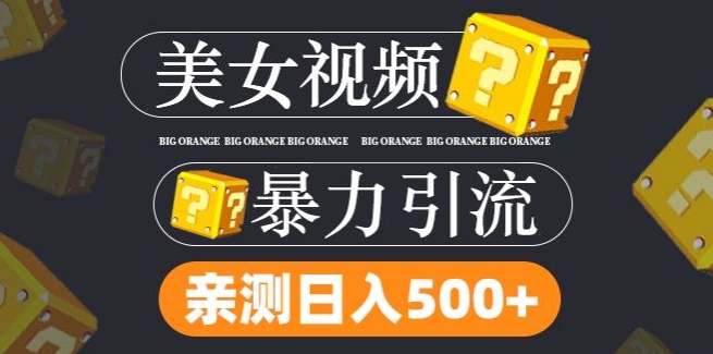 搬运tk美女视频全网分发，日引s粉300+，轻松变现，不限流量不封号【揭秘】-私藏资源社