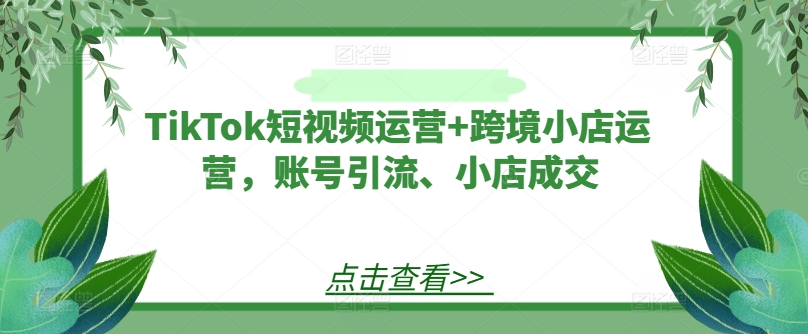 TikTok短视频运营+跨境小店运营，账号引流、小店成交-私藏资源社