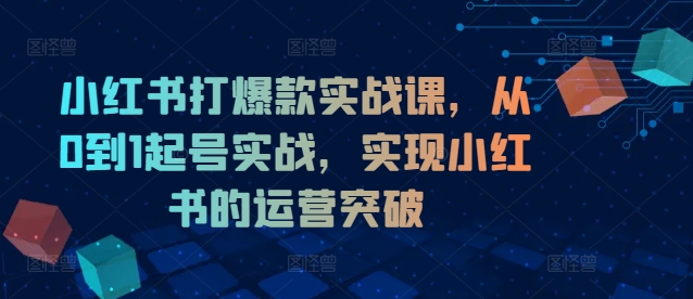 小红书打爆款实战课，从0到1起号实战，实现小红书的运营突破-私藏资源社