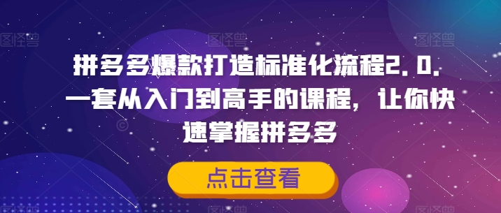 拼多多爆款打造标准化流程2.0，一套从入门到高手的课程，让你快速掌握拼多多-私藏资源社