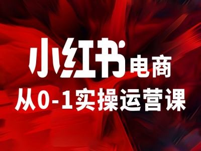 小红书电商从0-1实操运营课，让你从小白到精英-私藏资源社