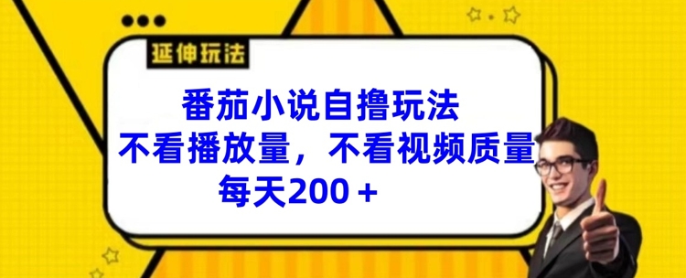 番茄小说自撸玩法，不看播放量，不看视频质量，每天200+【揭秘】-私藏资源社