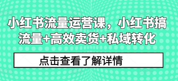 小红书流量运营课，小红书搞流量+高效卖货+私域转化-私藏资源社