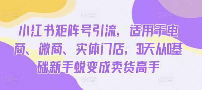 小红书矩阵号引流，适用于电商、微商、实体门店，30天从0基础新手蜕变成卖货高手-私藏资源社