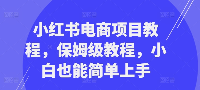 小红书电商项目教程，保姆级教程，小白也能简单上手-私藏资源社