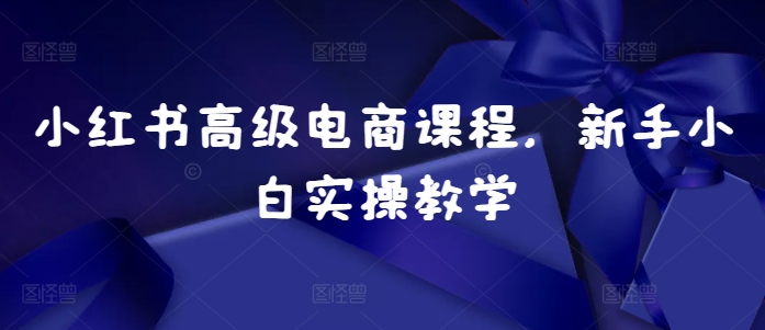 小红书高级电商课程，新手小白实操教学-私藏资源社