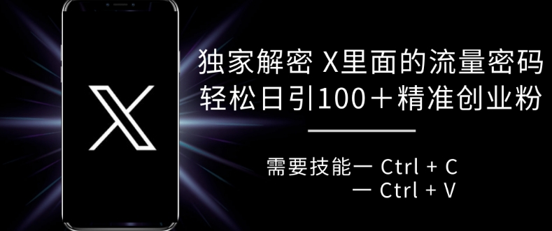 独家解密 X 里面的流量密码，复制粘贴轻松日引100+-私藏资源社