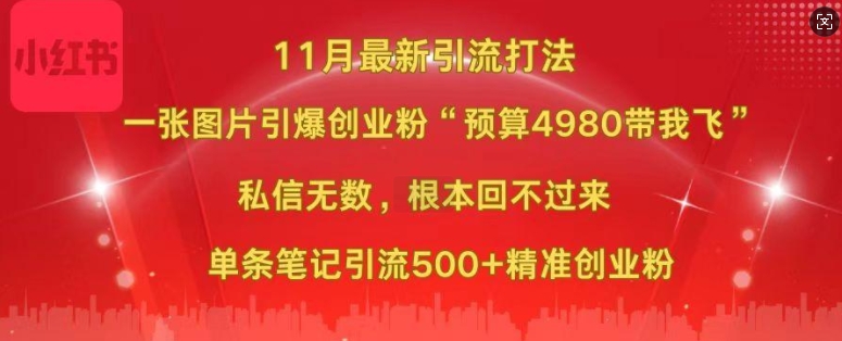 小红书11月最新图片打粉，一张图片引爆创业粉，“预算4980带我飞”，单条引流500+精准创业粉-私藏资源社