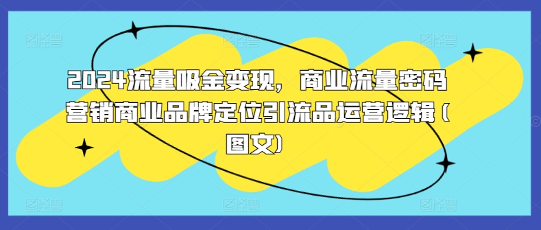 2024流量吸金变现，商业流量密码营销商业品牌定位引流品运营逻辑(图文)-私藏资源社