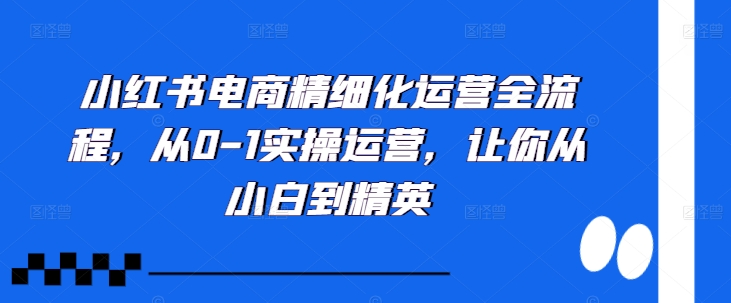 小红书电商精细化运营全流程，从0-1实操运营，让你从小白到精英-私藏资源社