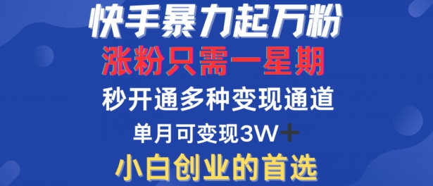 快手暴力起万粉，涨粉只需一星期，多种变现模式，直接秒开万合，单月变现过W【揭秘】-私藏资源社