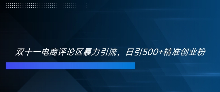 双十一电商评论区暴力引流，日引500+精准创业粉【揭秘】-私藏资源社