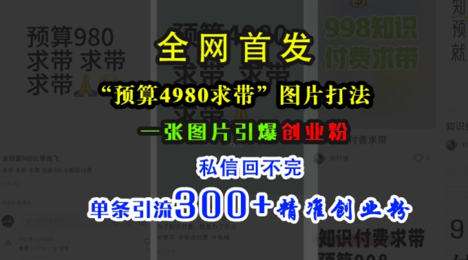 小红书“预算4980带我飞”图片打法，一张图片引爆创业粉，私信回不完，单条引流300+精准创业粉-私藏资源社