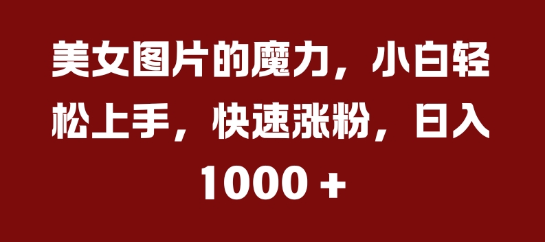 美女图片的魔力，小白轻松上手，快速涨粉，日入几张【揭秘】-私藏资源社