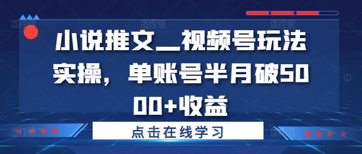 小说推文—视频号玩法实操，单账号半月破5000+收益-私藏资源社