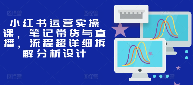 小红书运营实操课，笔记带货与直播，流程超详细拆解分析设计-私藏资源社