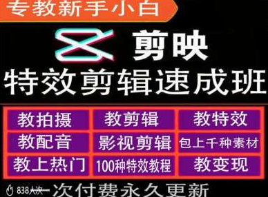 剪映特效教程和运营变现教程，特效剪辑速成班，专教新手小白-私藏资源社